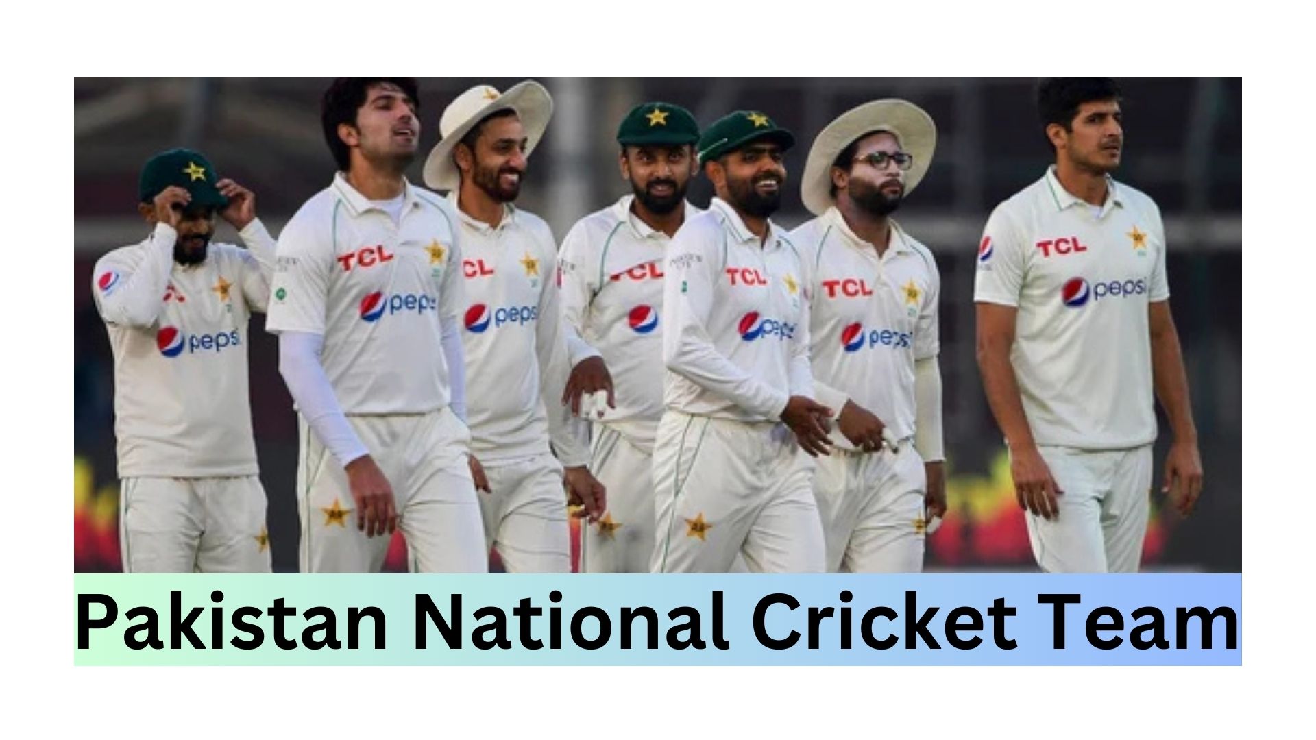 Pakistan National Cricket Team: A Comprehensive Overview 2024