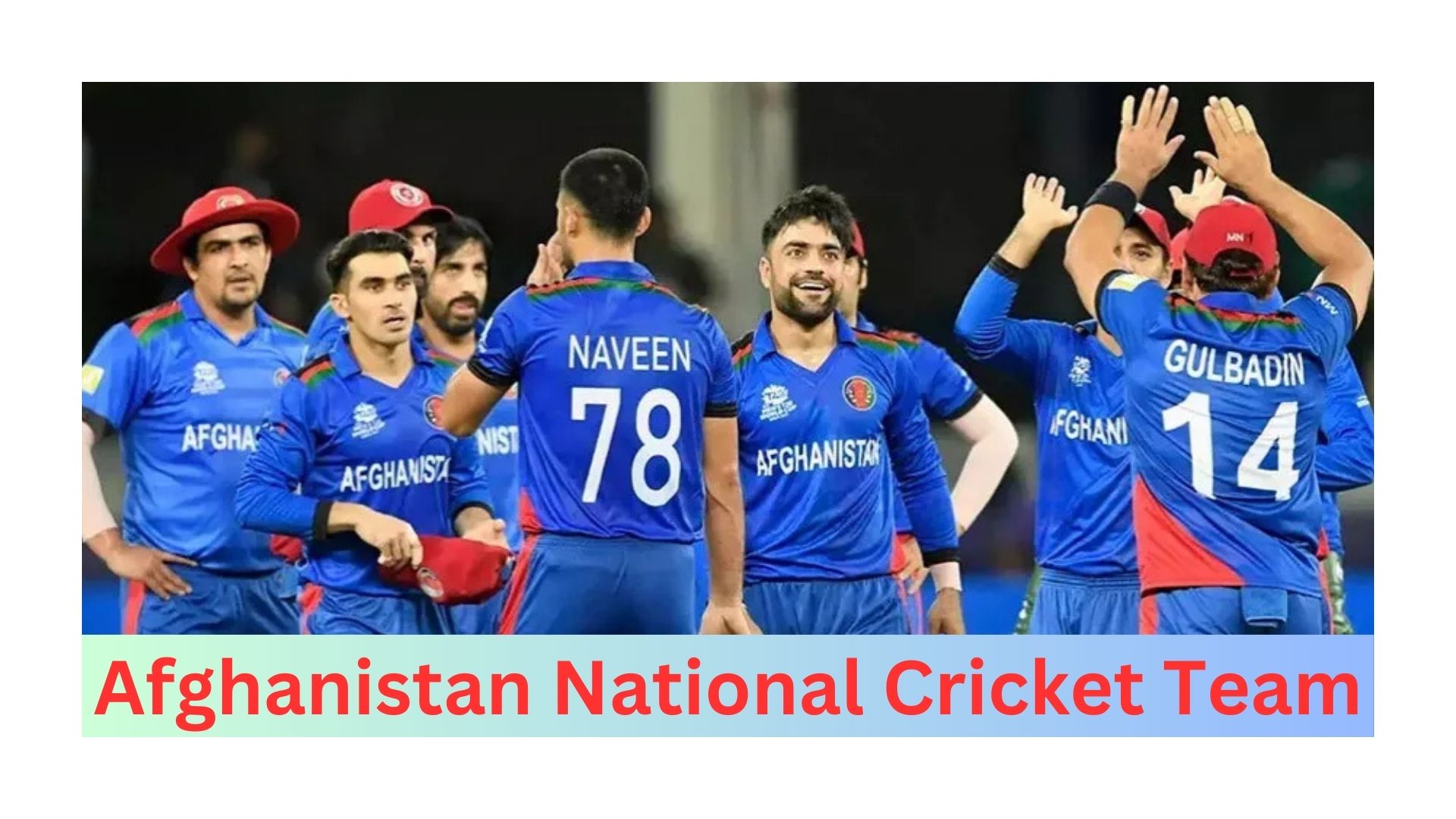 Afghanistan National Cricket Team: A Journey Through Resilience and Progress 2024